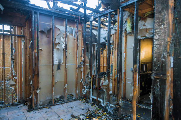 Professional Smoke Damage Removal technician working in Nevada, TX